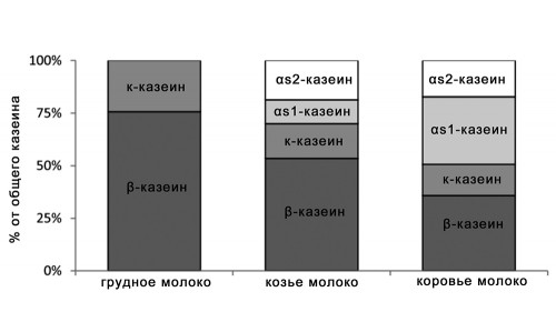 Графиката показва колко в млякото казеин
