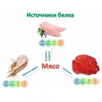 Сравнителна схема на протеиновите източници