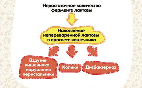 Причината за детска дисбиоза във визуална схема