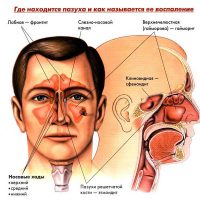 Назална задръствания